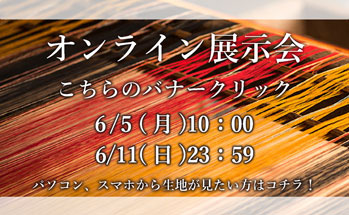 WEB展示会